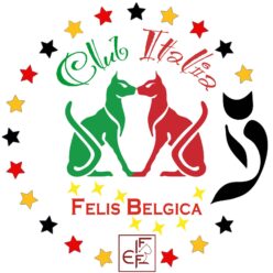 Club Italia